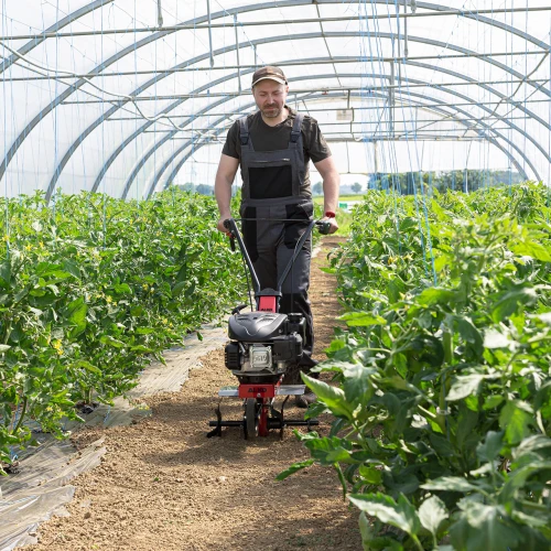 Культиватор бензиновый AL-KO MH 360 (113969)