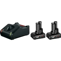 Стартовый набор Bosch GBA 12V 6.0 Ah / GAL 12V-40 (1600A01B20)