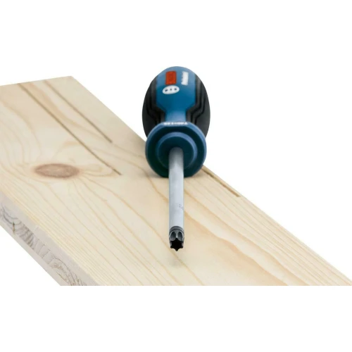 Набір викруток зіркоподібних Bosch Torx TX10 - TX40 (6 шт.) (1600A01V09)