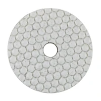 Диск алмазный полировальный DI-STAR 100x3x15 CleanPad 100 (по керамике) (80115429035)