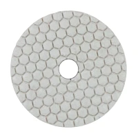 Диск алмазный полировальный DI-STAR 100x3x15 CleanPad 200 (по керамике) (80115429036)