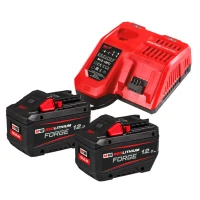 Енергокомплект Milwaukee M18 FORGENRG-122 (АКБ і ЗП) (4933498610)