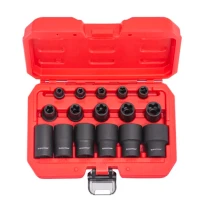 Набір 5-гранних торцевих головок QUATROS QS50016 EPR TORX PLUS 16 предметів