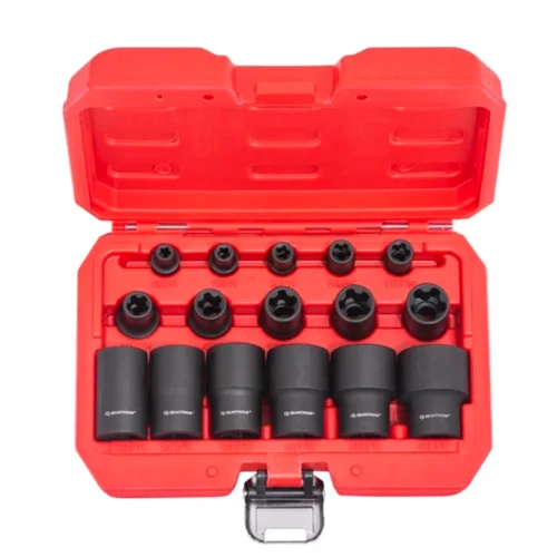 Набір 5-гранних торцевих головок QUATROS QS50016 EPR TORX PLUS 16 предметів