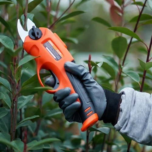 Ножницы садовые - секатор аккумуляторный SEQUOIA SBP3610C (SBP3610C)