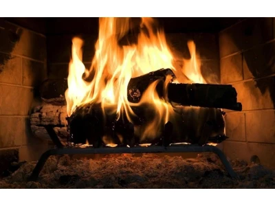 Правильна заготівля дров на зиму. Що слід враховувати