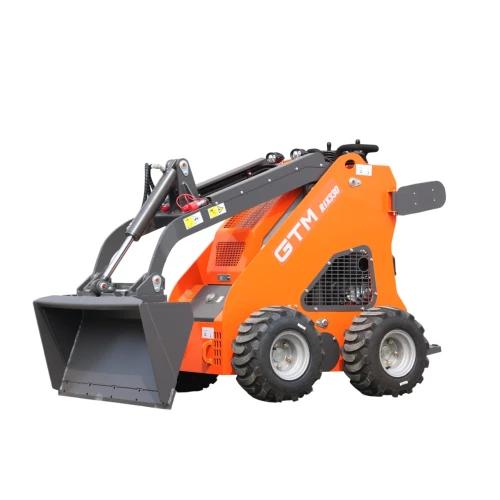 Мини-погрузчик GTM RIX330 200/330 кг с бортовым поворотом (RIX330)