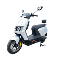 Электроскутер GTM Flex 1500W 72V 26Ah