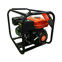 Мотопомпа бензиновая GTM LGP30-C для чистой воды (LGP30-C)