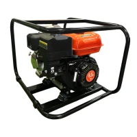 Мотопомпа бензиновая GTM LGP30-W для грязной воды (LGP30-W)