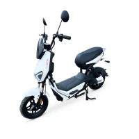 Електроскутер GTM R-800-S 800W 60V 20Ah