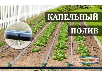 Поради експертів: як правильно зробити крапельний полив грядок