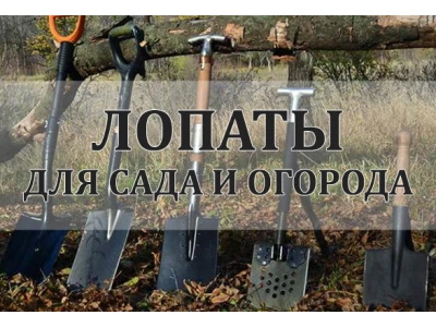 Типы лопат для дома и дачи