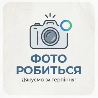 Затиральна машина GTM GT24-E електрична однороторна (GT24-E)