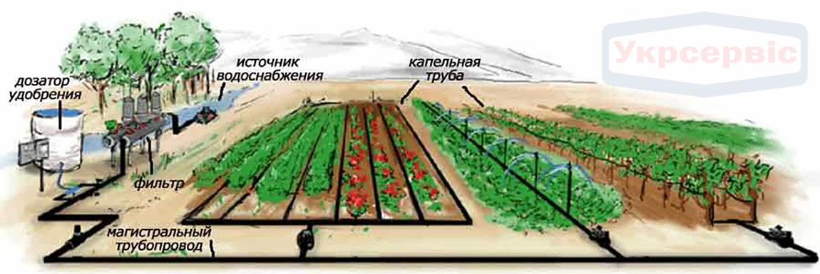Как настроить капельный полив на даче